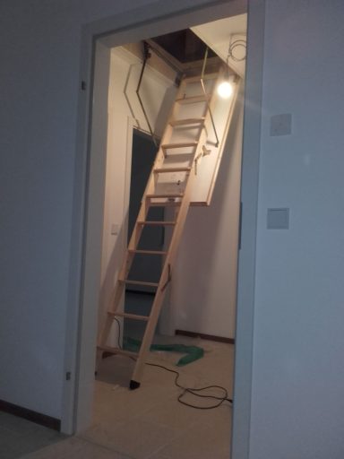 Dachtreppe - Isoliert - offen
